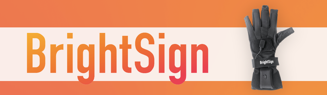 Bright Sign Glove Icon